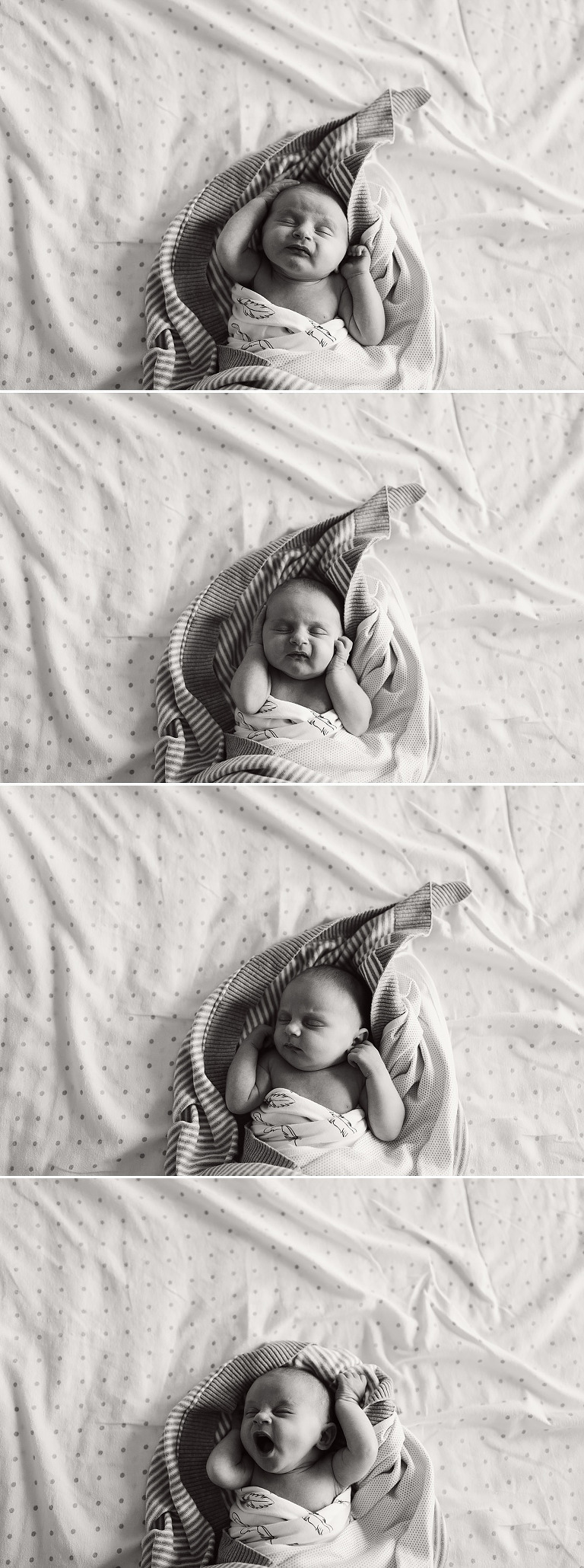 Sydney-newborn-photography-sutherland-shire