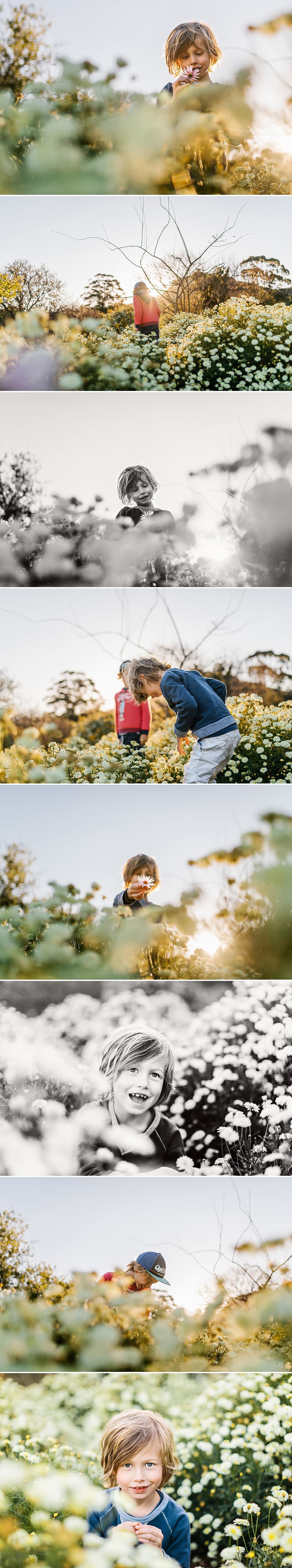 Spring-the-season-of-flowers