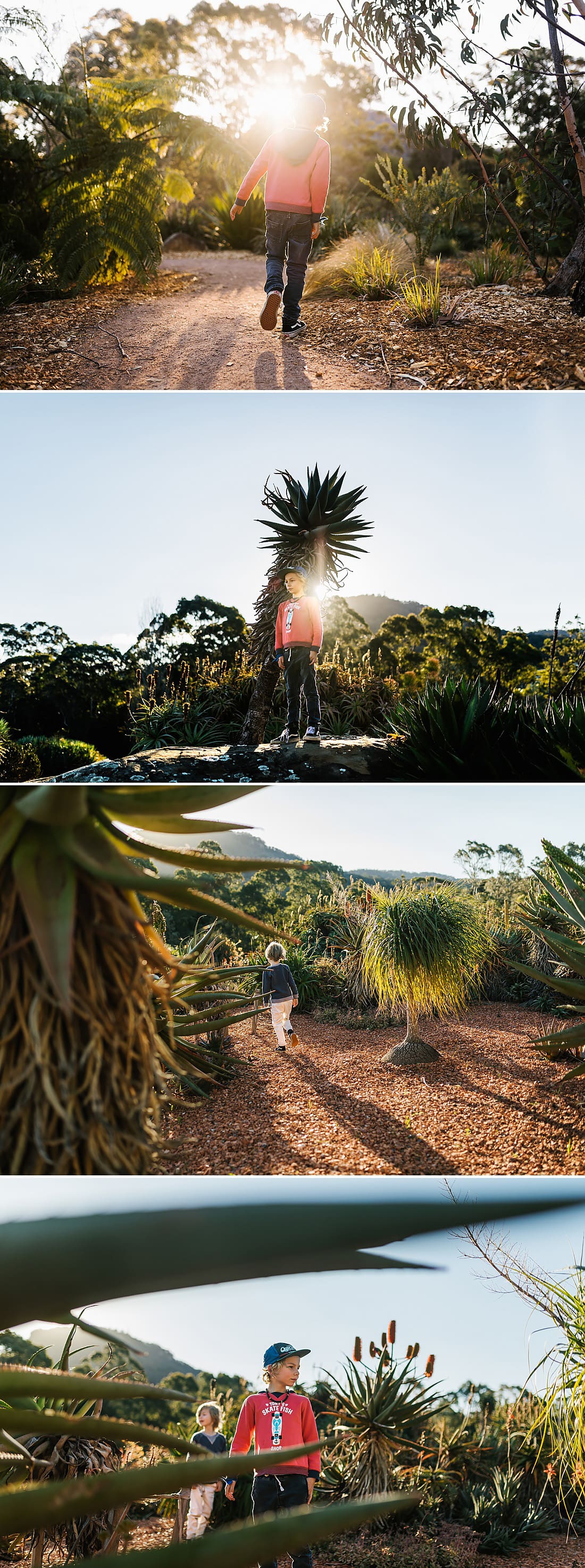 Wollongong-botanical-gardens-lifestyle-photography