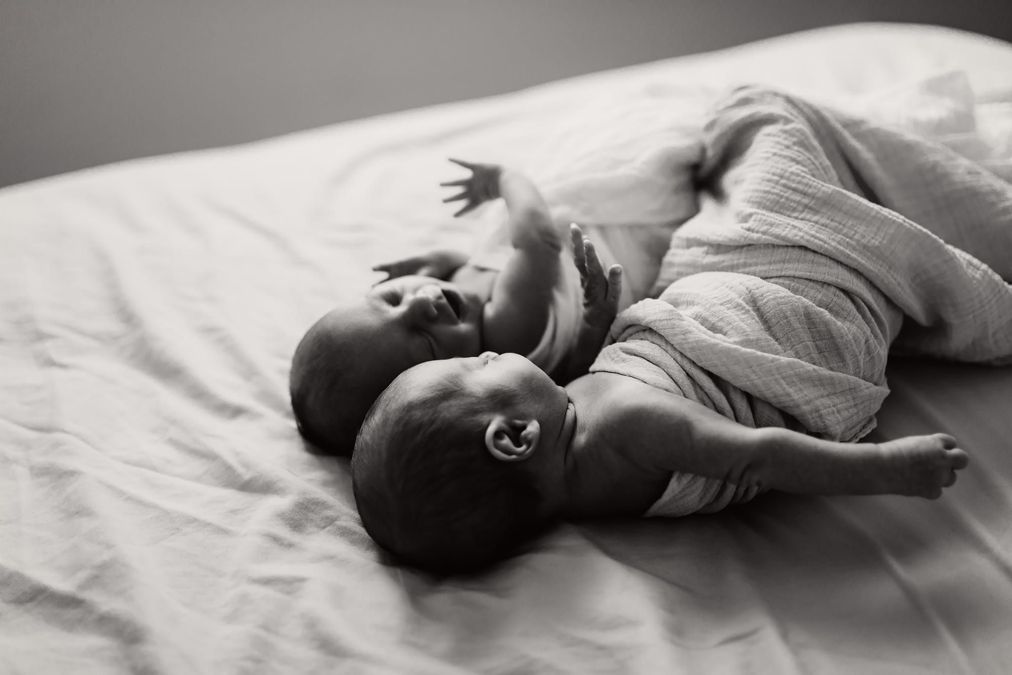 Newborn-twins-photography-sydney-sutherland-shire