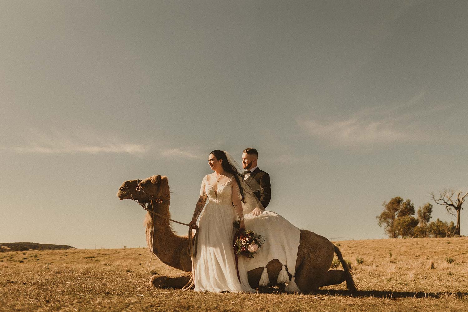 Sydney-wedding-photographer-couple-and-camel-looking-out-7