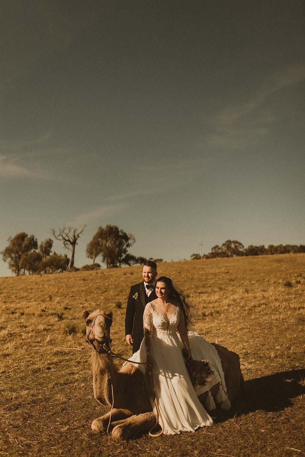 Sydney-wedding-photographer-couple-sittingowith-camel-6