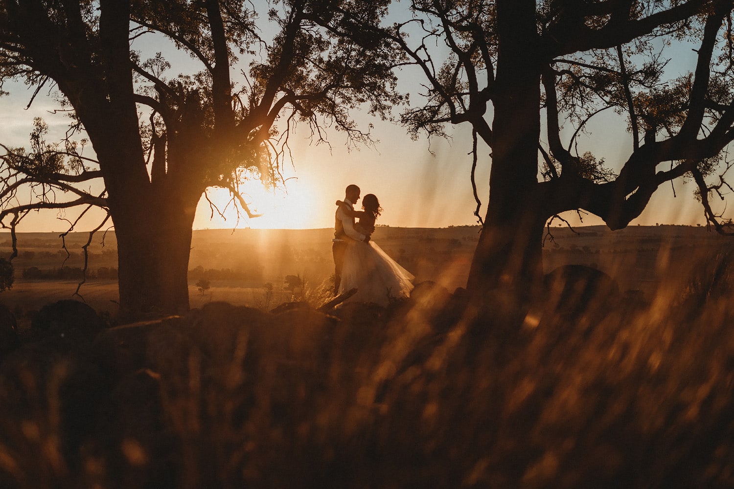 Sydney-wedding-photographer-farm-wedding-cowra-5