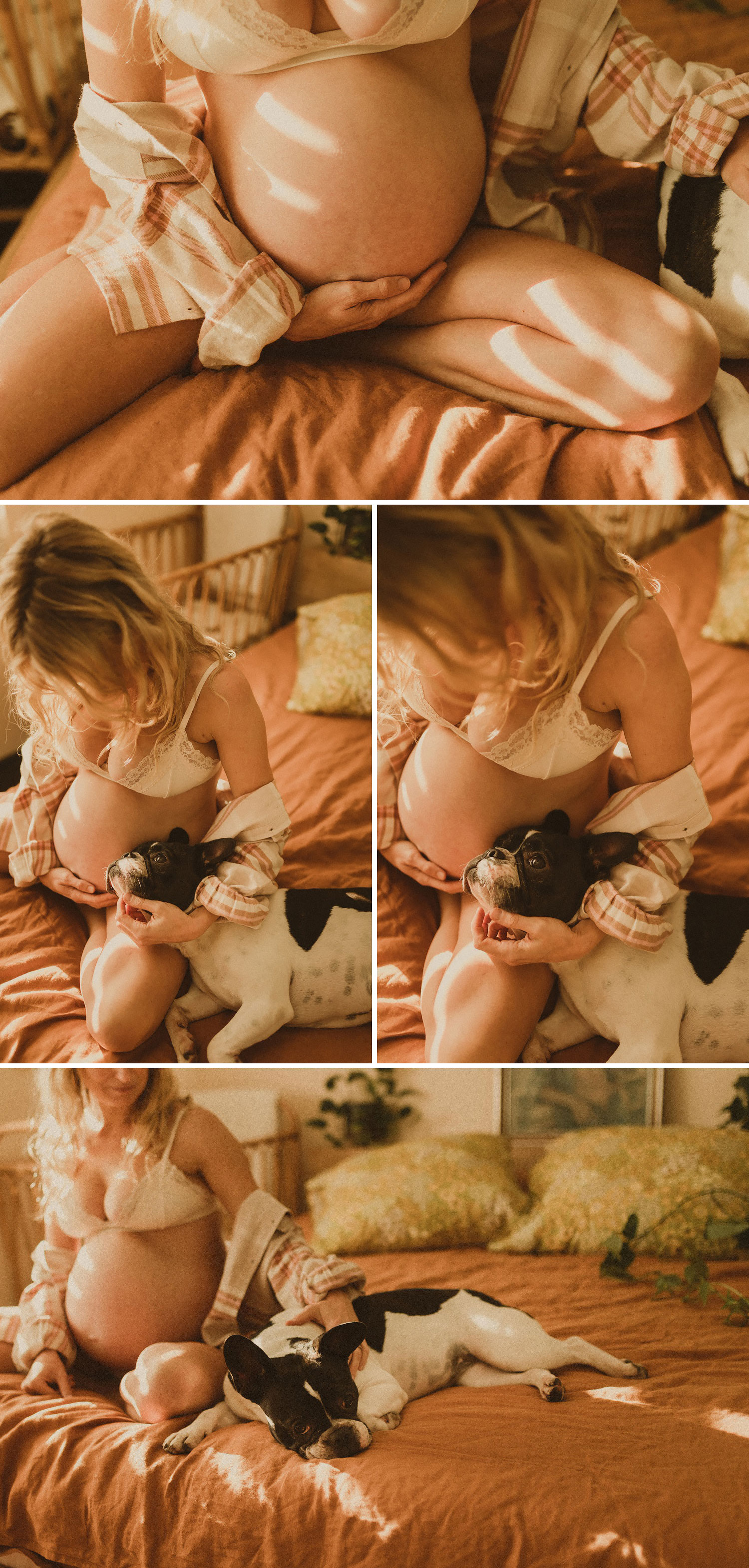 Maternity-photography-with-your-dog-sydney