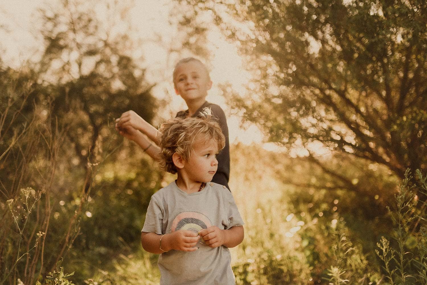 Family-photoraphy-sydney-two-young-blonde-boys-playing-in-bushlands-with-sunshine-lighting-up-background