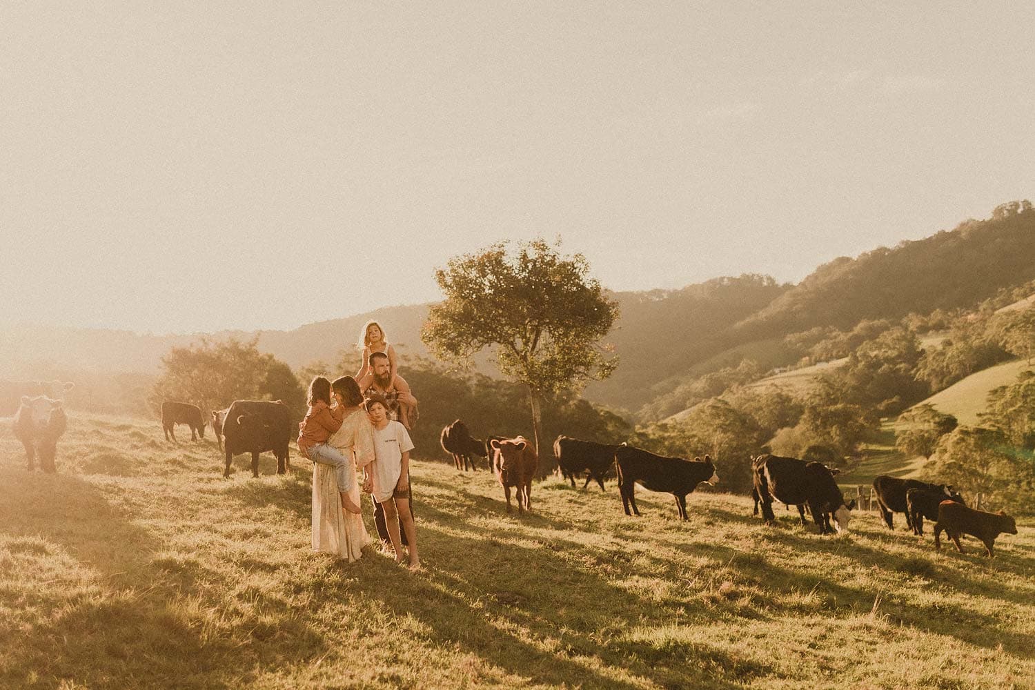 Illawarra-family-photographer-south-coast-family-in-paddock-with-cows