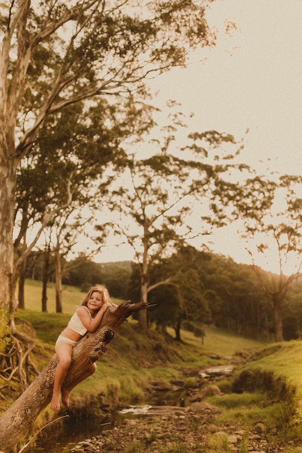 Sutherland-shire-childhood-photographer-sydney-girl-laying-on-tree-with-meadow-in-background