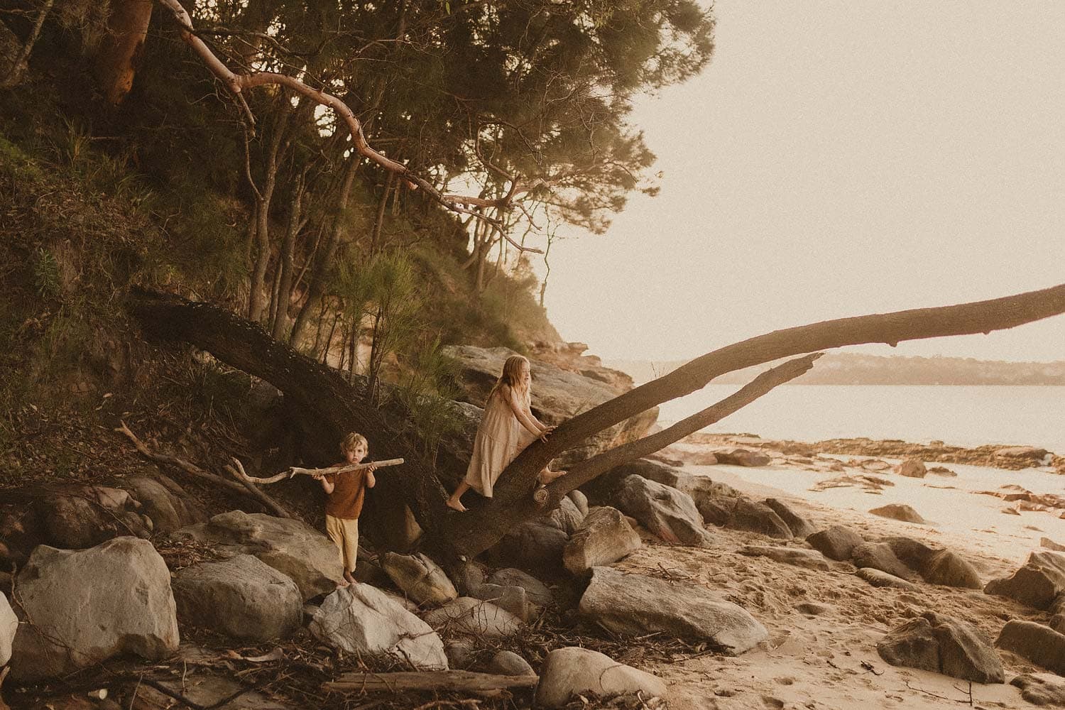 Sydney-lifestyle-family-photographer-little-girl-plays-on-fallen-branch-that-overhangs-the-sandy-shore-whilst-little-boy-plays-next-to-her-on-the-rocks-holding-a-big-stick
