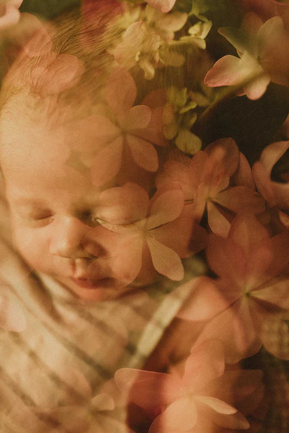 Artistic and creative newborn photography Sydney. A unique approach to photographing a newborn using double exposure, with flowers and babies face.